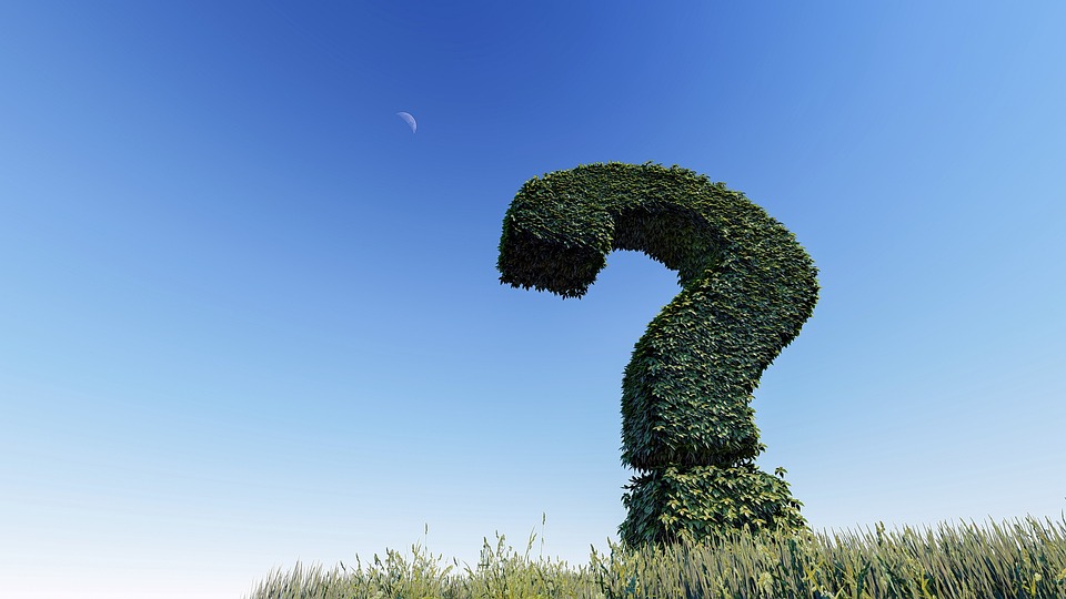 Read more about the article What exactly are consultancy services, and how can they benefit your business?